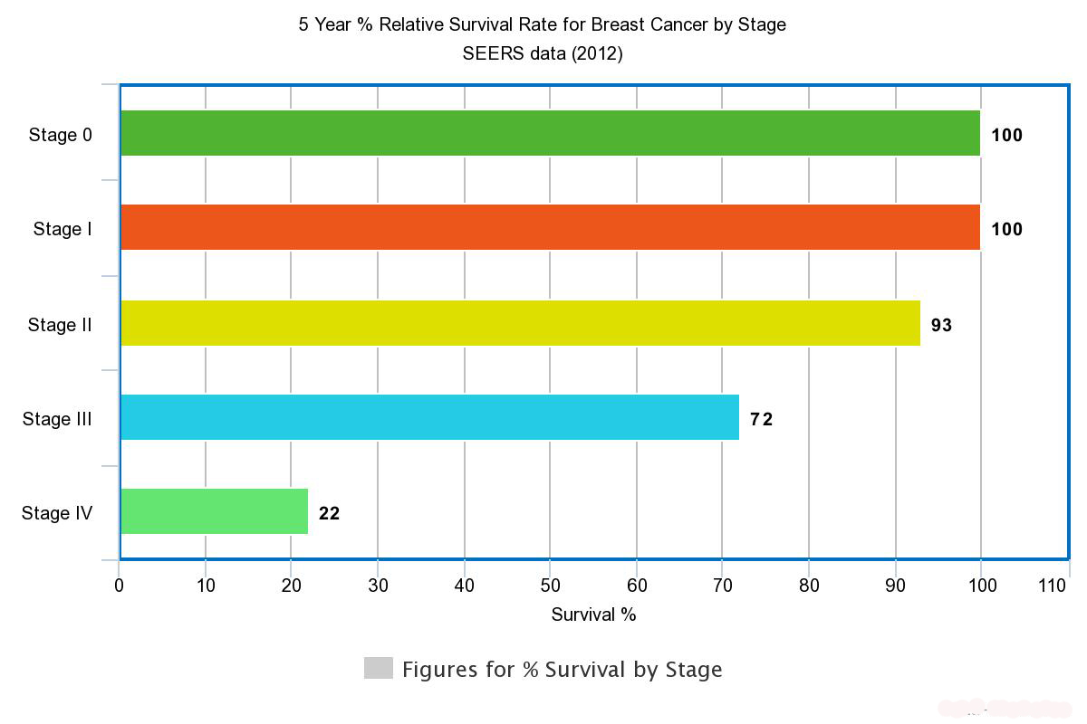 Stage 1 Grade 3 Breast Cancer Survival Rate